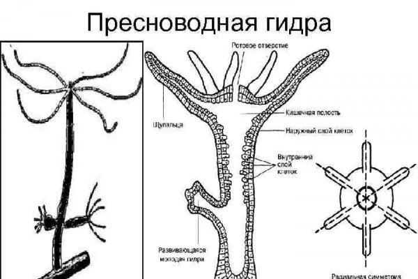 Зеркало омга